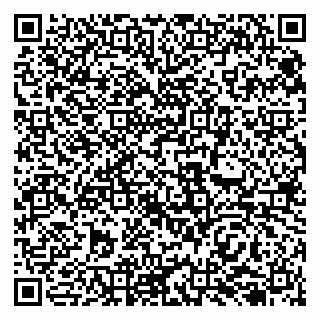 vCard 79138255751