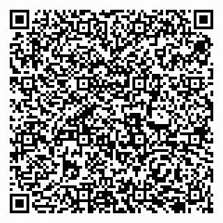 vCard 79138255809