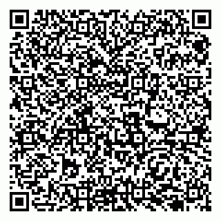 vCard 79138255993
