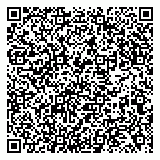 vCard 79138256275