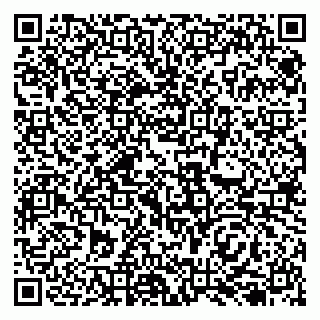 vCard 79138256294