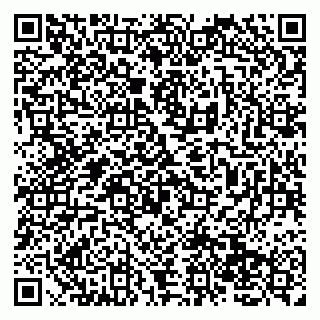 vCard 79138256684