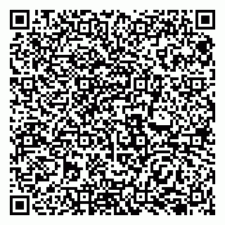 vCard 79138258167