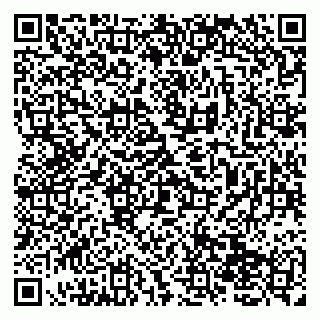 vCard 79138258217