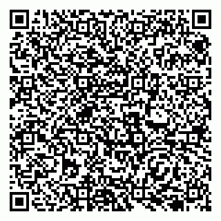 vCard 79138258294