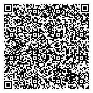 vCard 79138258303