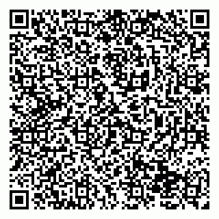 vCard 79138258317
