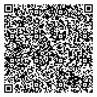 vCard 79138258331