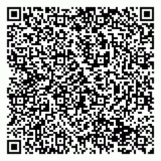 vCard 79138258367