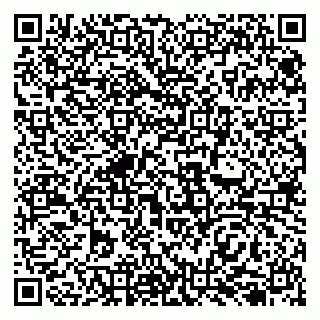 vCard 79138259697