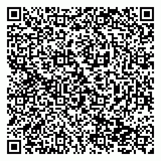 vCard 79138259973