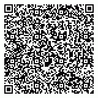 vCard 79138260412