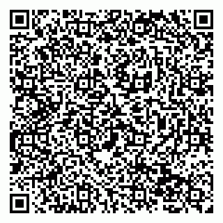 vCard 79138260445