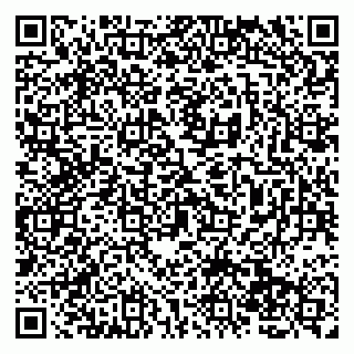 vCard 79138260652