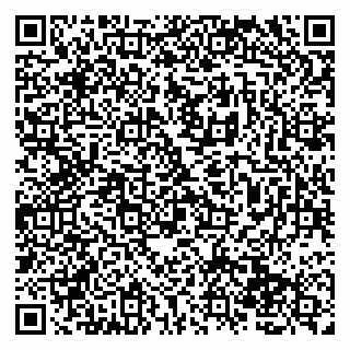 vCard 79138260740