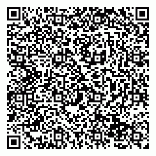 vCard 79138260741