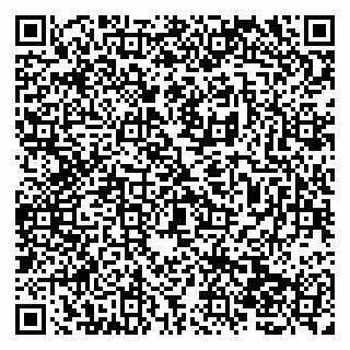 vCard 79138260894