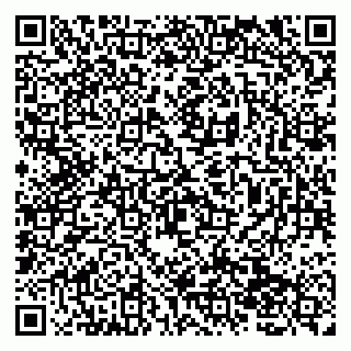vCard 79138261065