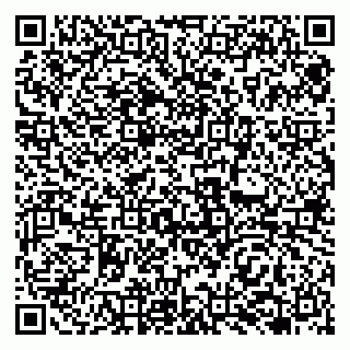 vCard 79138261985