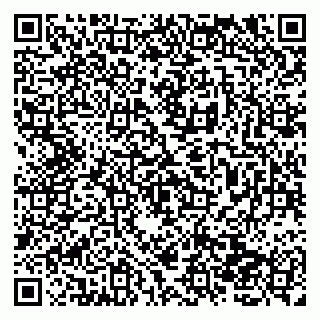 vCard 79138261998