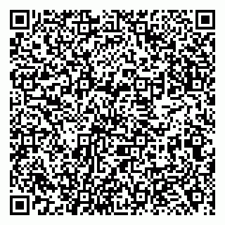 vCard 79138262017