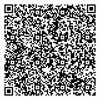 vCard 79138262153