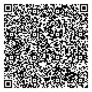 vCard 79138262154