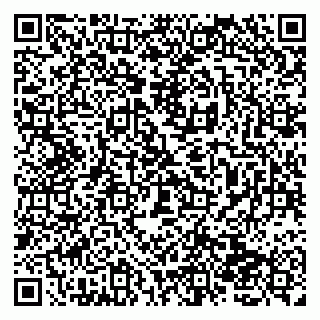 vCard 79138262181