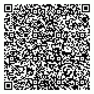 vCard 79138263154