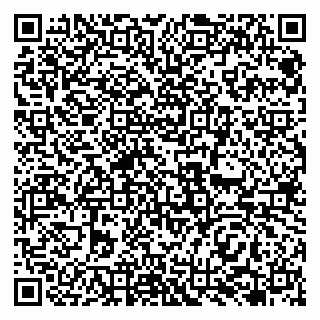 vCard 79138263172