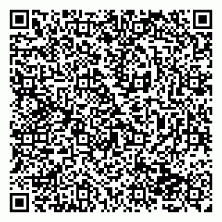 vCard 79138263187