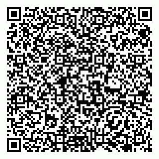 vCard 79138263201