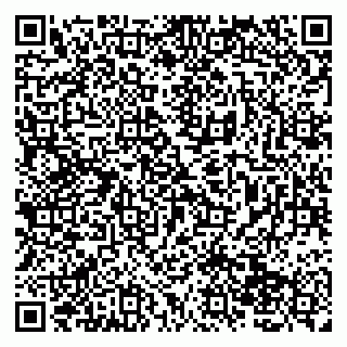 vCard 79138263229