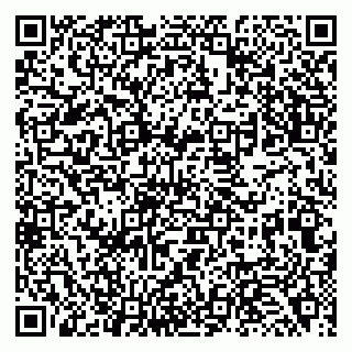 vCard 79138263231