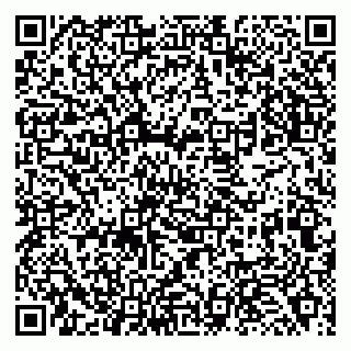 vCard 79138263241