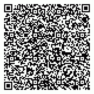 vCard 79138263244
