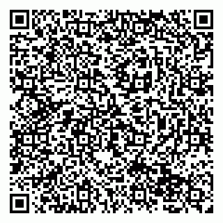 vCard 79138263247