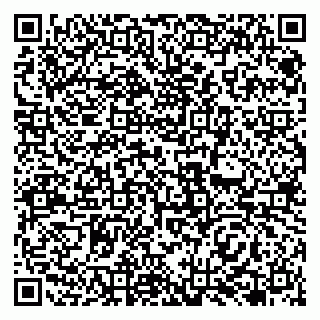vCard 79138263256