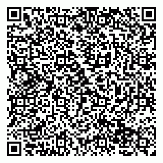vCard 79138263262