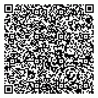 vCard 79138263263