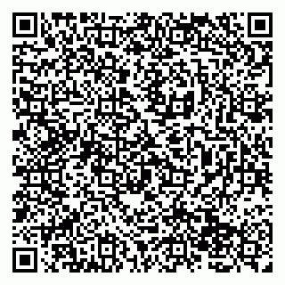 vCard 79138263281