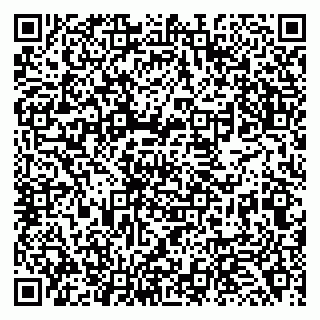 vCard 79138263290