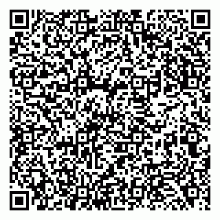 vCard 79138263294