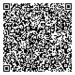 vCard 79138263301