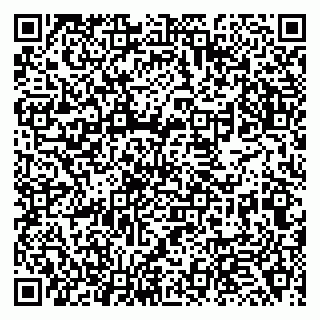 vCard 79138263302