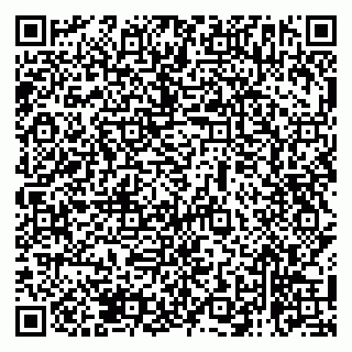 vCard 79138263306