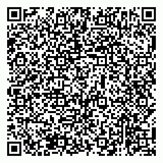 vCard 79138263308