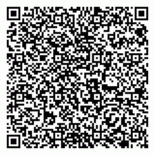 vCard 79138263333