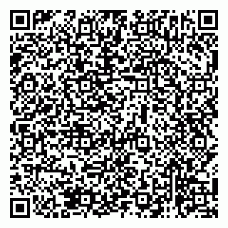 vCard 79138263345