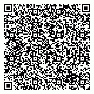 vCard 79138263371